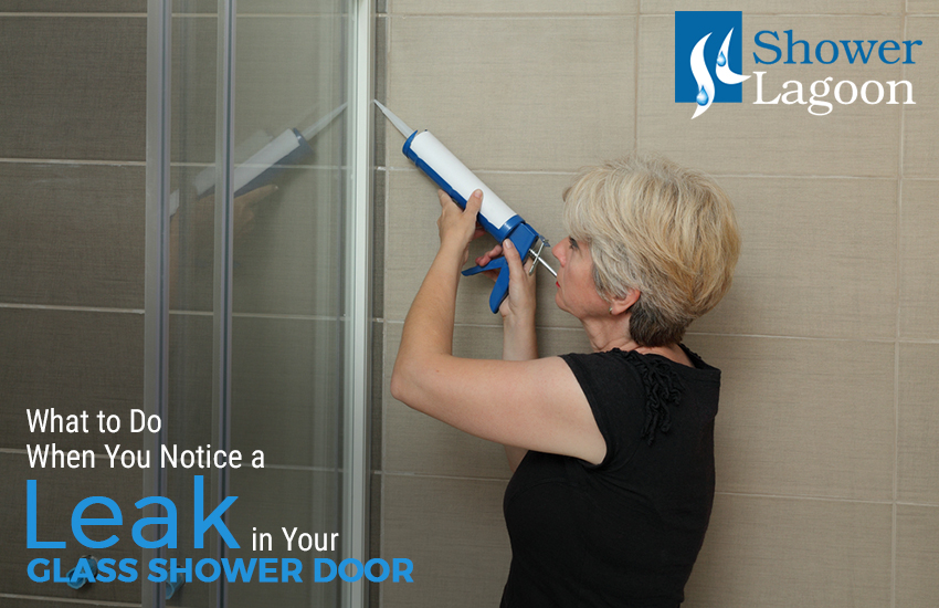 DoWhenYouNotice aLeakinYourGlassShowerDoor